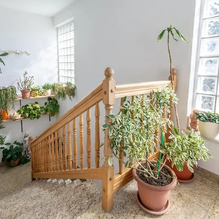 Charming With Balcony * Trogir